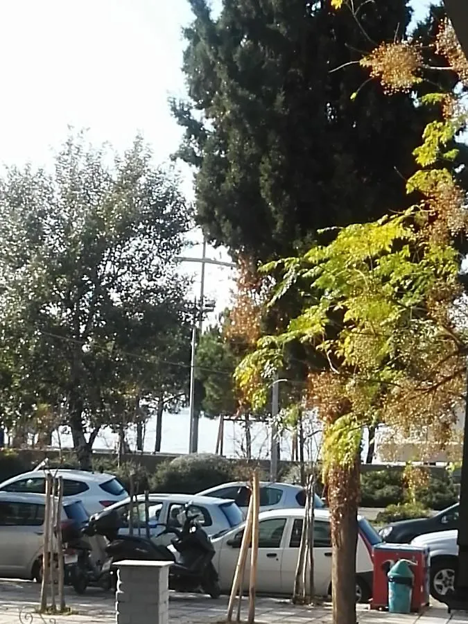 Maria Kallas Thessaloniki